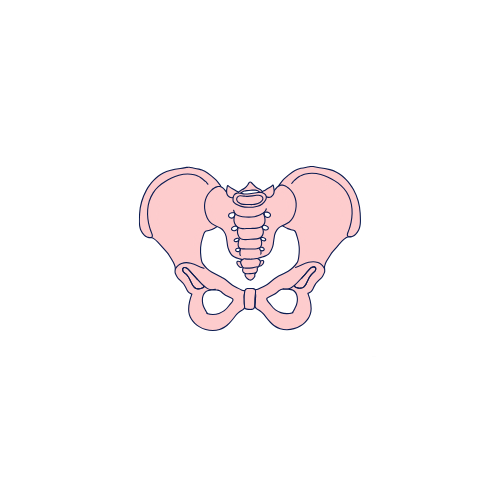 FUNCTIONAL pelvic health - White